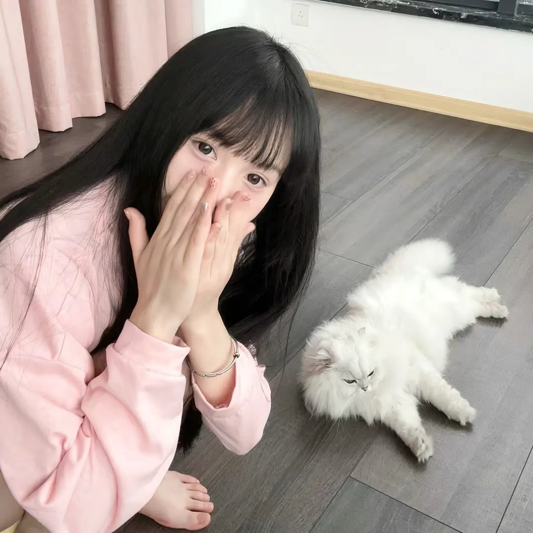 吃鸡战场